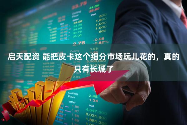 启天配资 能把皮卡这个细分市场玩儿花的，真的只有长城了