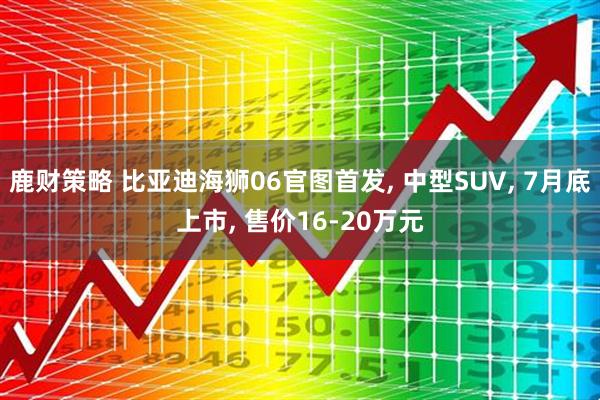 鹿财策略 比亚迪海狮06官图首发, 中型SUV, 7月底上市, 售价16-20万元