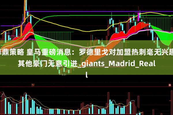 卓鼎策略 皇马重磅消息：罗德里戈对加盟热刺毫无兴趣，其他豪门无意引进_giants_Madrid_Real